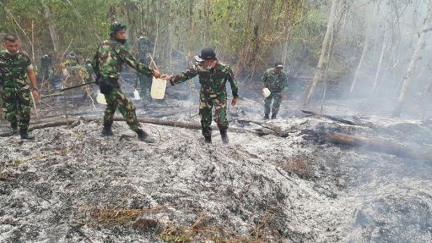 Cegah Kebakaran Lahan di Riau, Kodam I BB Bentuk Tenaga Pembina Desa