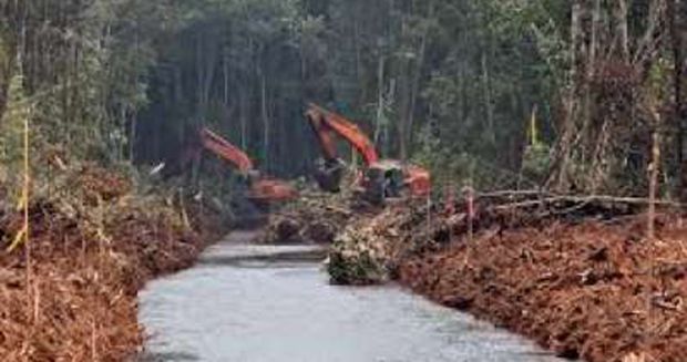 Kapolda dan Plt Gubernur Riau Tinjau Pembuatan Sekat Kanal di Pelalawan