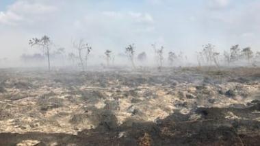 bdenda-rp500-miliar-terhadap-korporasi-terkait-karhutla-disebut-belum-tertagihb