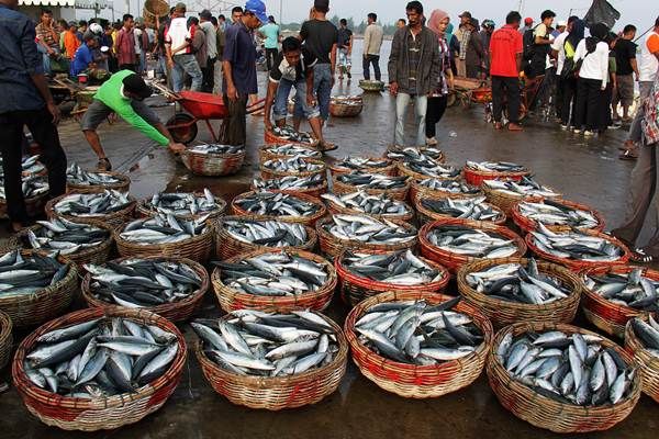 Konsumsi Ikan Masyarakat di Riau Lampaui Rerata Nasional