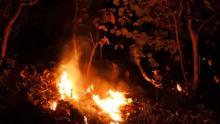 kisah-pejuang-pemadam-kebakaran-hutan-dan-lahan-berjibaku-dengan-api-tidur-di-hutan-dan-melawan