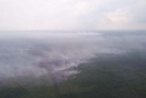 Kebakaran Hutan Tersebar di 5 Provinsi, Riau Terbesar