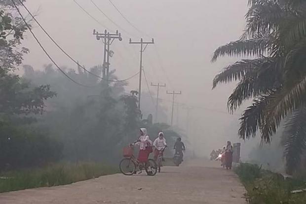 Minta Pembakar Hutan dan Lahan Ditindak Tegas, Warga Riau Berharap Sekolah Diliburkan