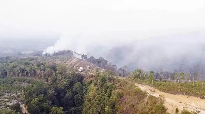 <b>Udara Bangkinang Tercemar Sedang, DLH: Asap Diduga dari Wilayah Sekitar</b>