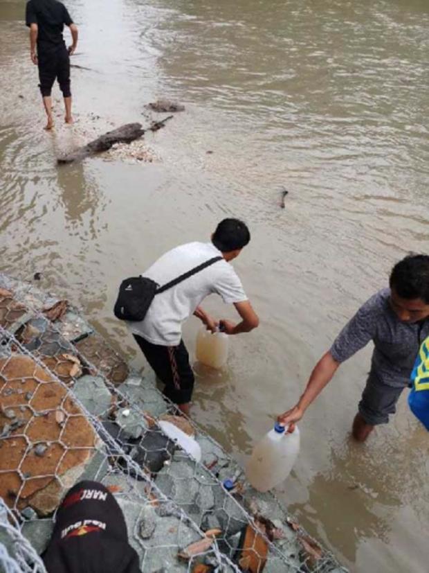 Ikan-ikan di Sungai Bawang Kuantan Singingi Mati, Diduga Tercemar Limbah Pabrik