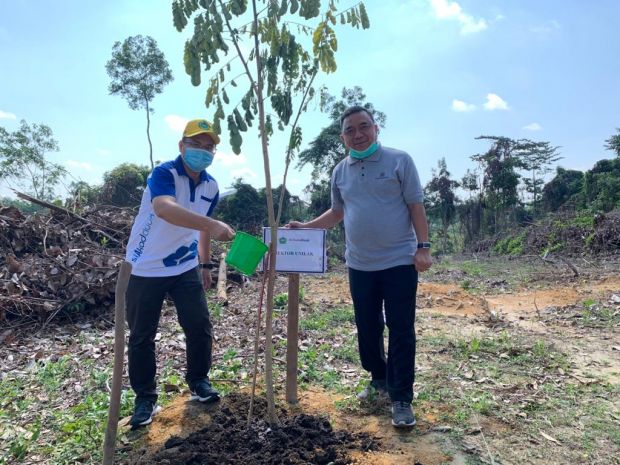 Ratusan Pohon Trembesi Ditanam, Kampus Unilak Bakal Semakin Teduh
