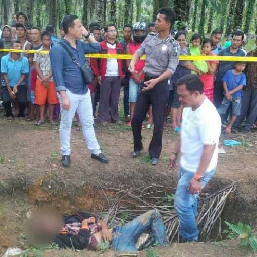 Mayat Pria tanpa Identitas Berbaju Batik Merah Ditemukan di Kebun Sawit Kecamatan Balaijaya Rohil, Ada Luka di Leher dan Lebam di Telinga