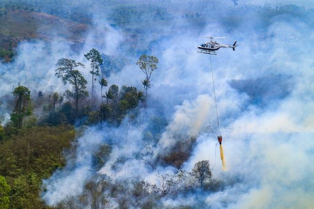Kerugian akibat Kebakaran Hutan dan Lahan Sepanjang 2019 Capai Rp75 Triliun